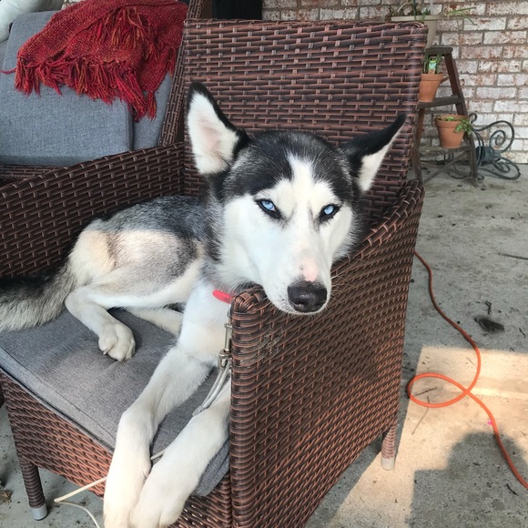 Meet your Posher, April - Picture 3 of 5